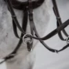 VRTACK Double Layer Loop Reins Anti Slip