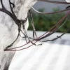 Rope Draw Reins Nylon